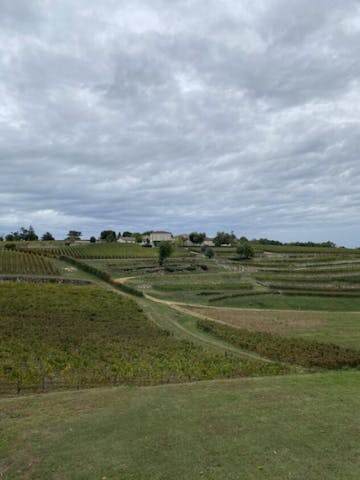 Château Barde-Haut : Domaine viticole à Saint-Émilion